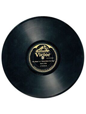 Nat M. Wills No News or What Killed The Dog 10in Shellac 78 RPM Victor 17222
